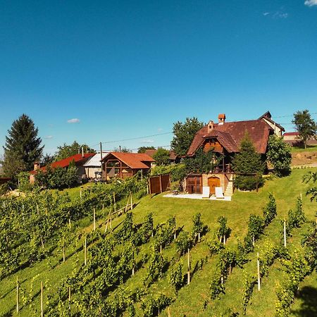 Holiday Home Wine & Relax Sveti Martin Na Muri Gornji Koncovcak Ngoại thất bức ảnh