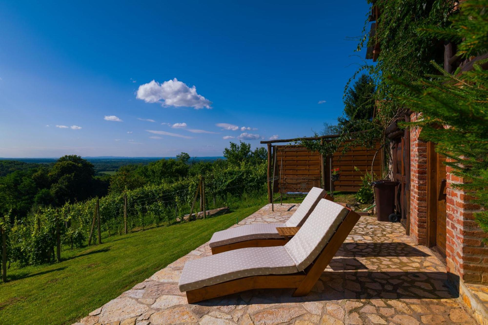 Holiday Home Wine & Relax Sveti Martin Na Muri Gornji Koncovcak Ngoại thất bức ảnh