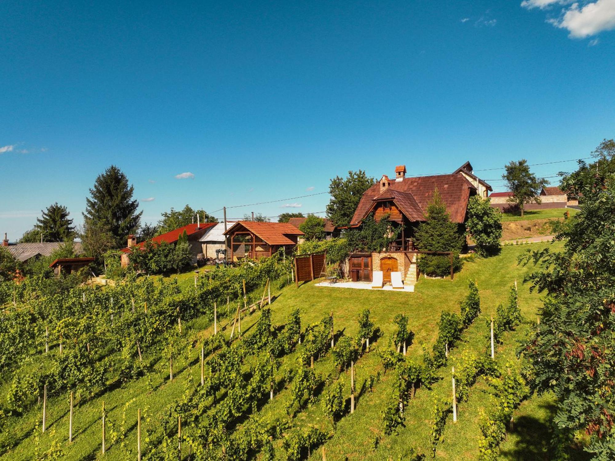 Holiday Home Wine & Relax Sveti Martin Na Muri Gornji Koncovcak Ngoại thất bức ảnh